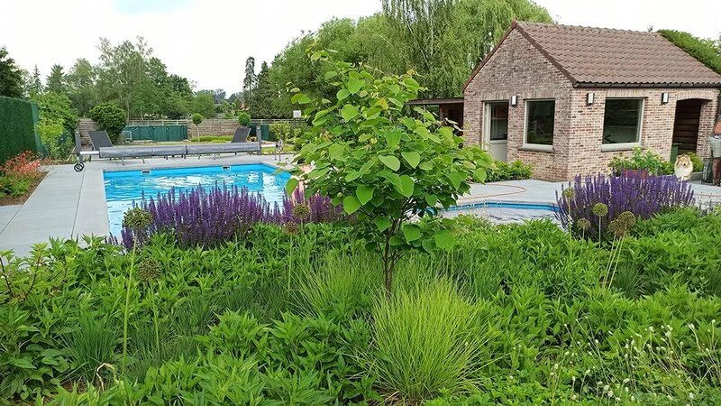 tuin1