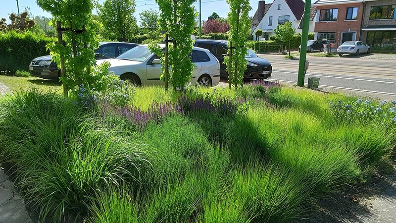 tuin3