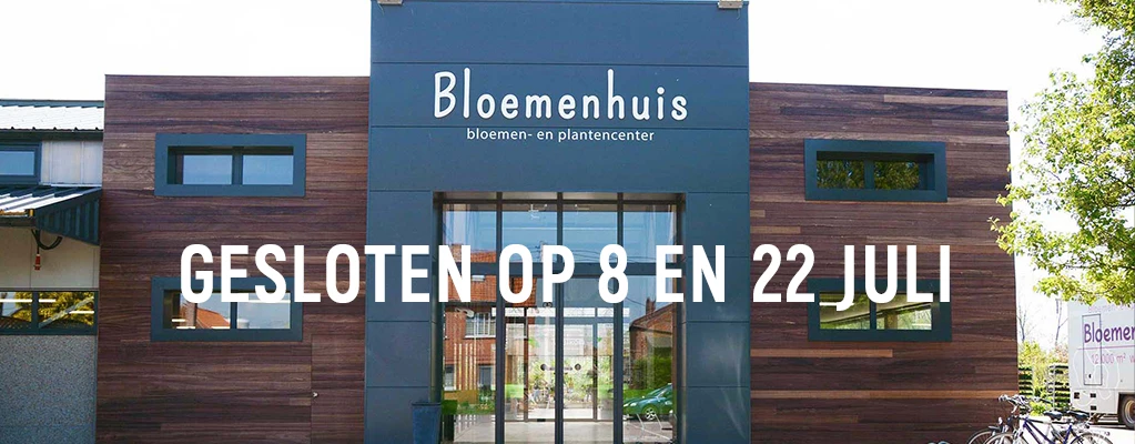 Perkplanten