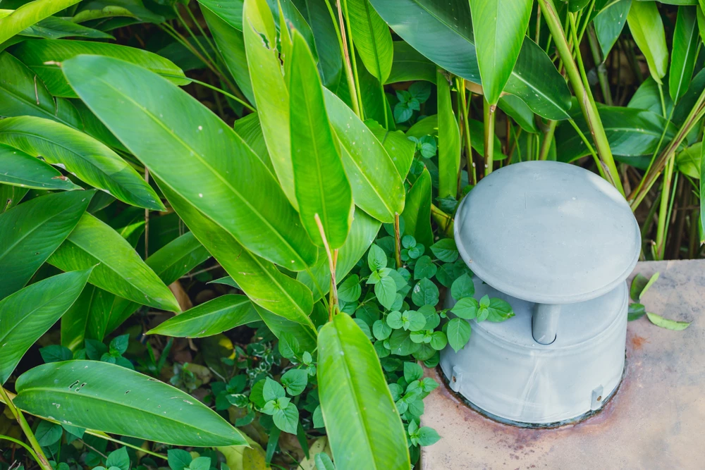 speaker in tuin