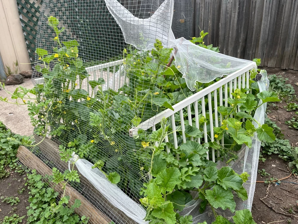netten rond planten