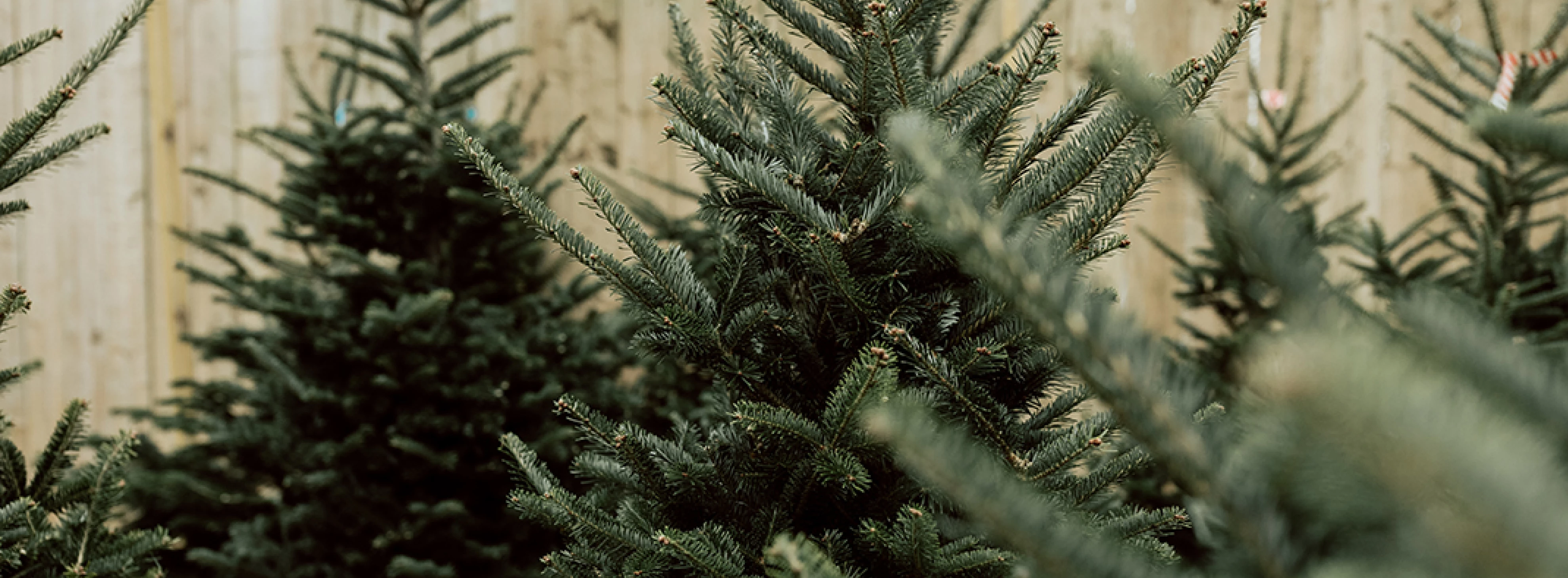 Jongen in tuin aan het werken