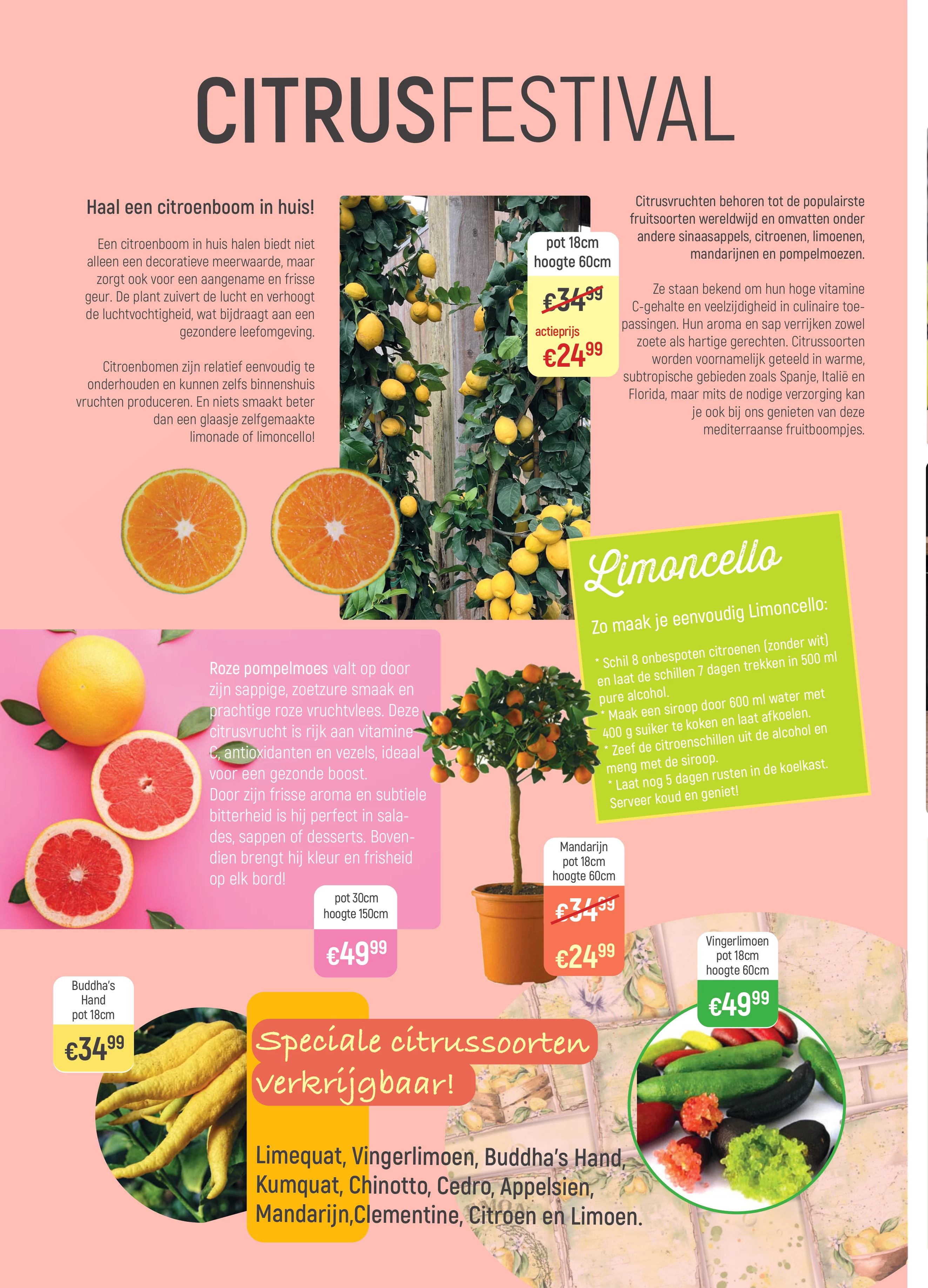 Folder actieweek 2026 pagina 2