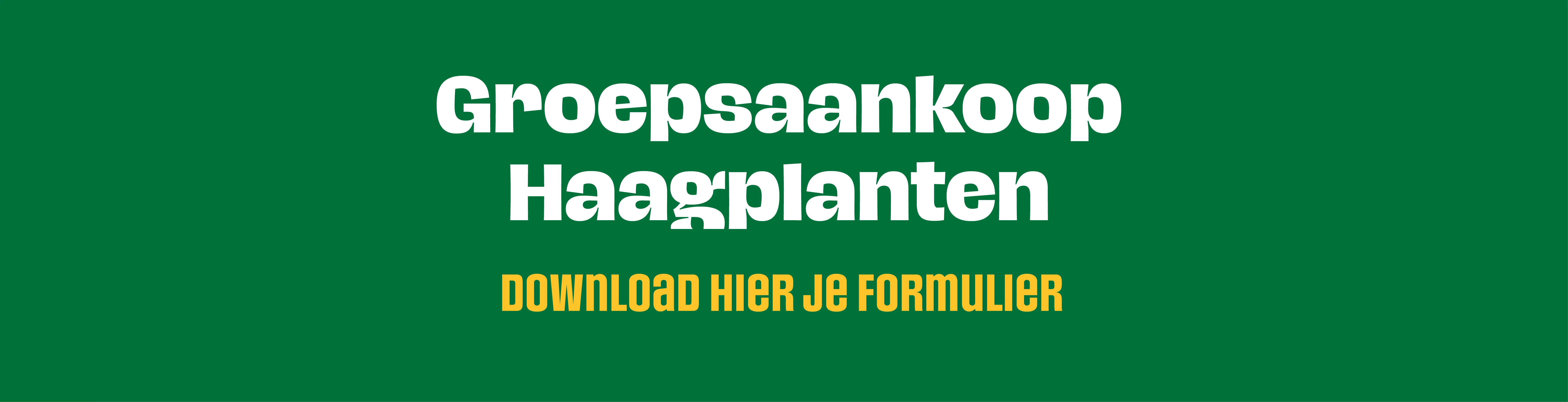 Haaplanten