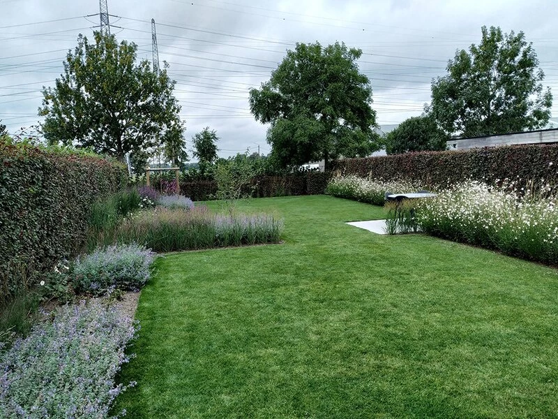 tuin4