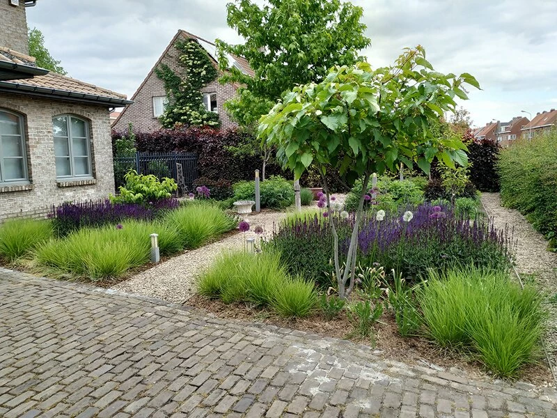 tuin5